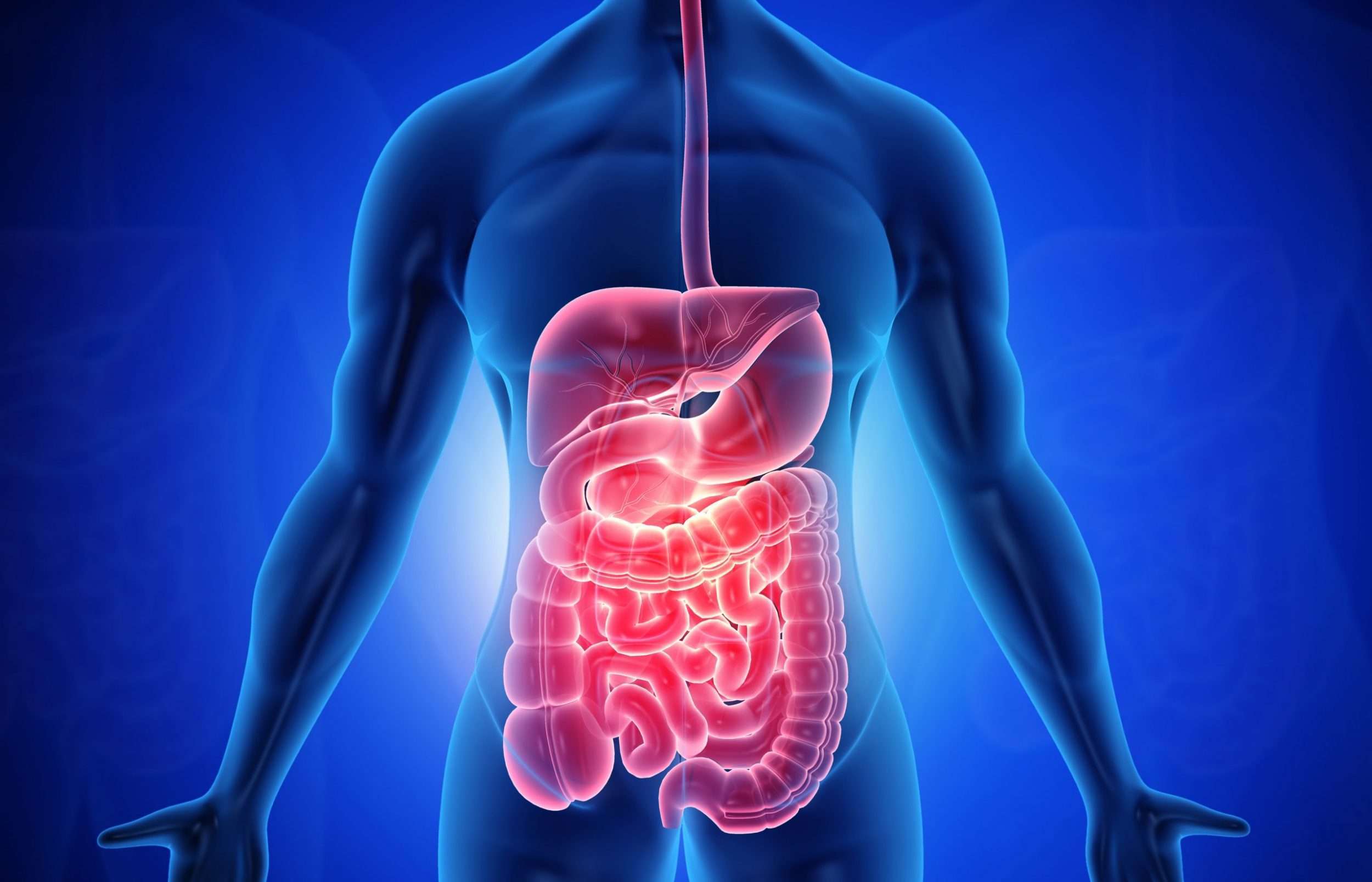 seisei BIENESTAR DIGESTIVO - PNI PNIE PSICONEUROINMUNOLOGIA PNI PNIE PSICONEUROINMUNOLOGIA BIENESTAR DIGESTIVO